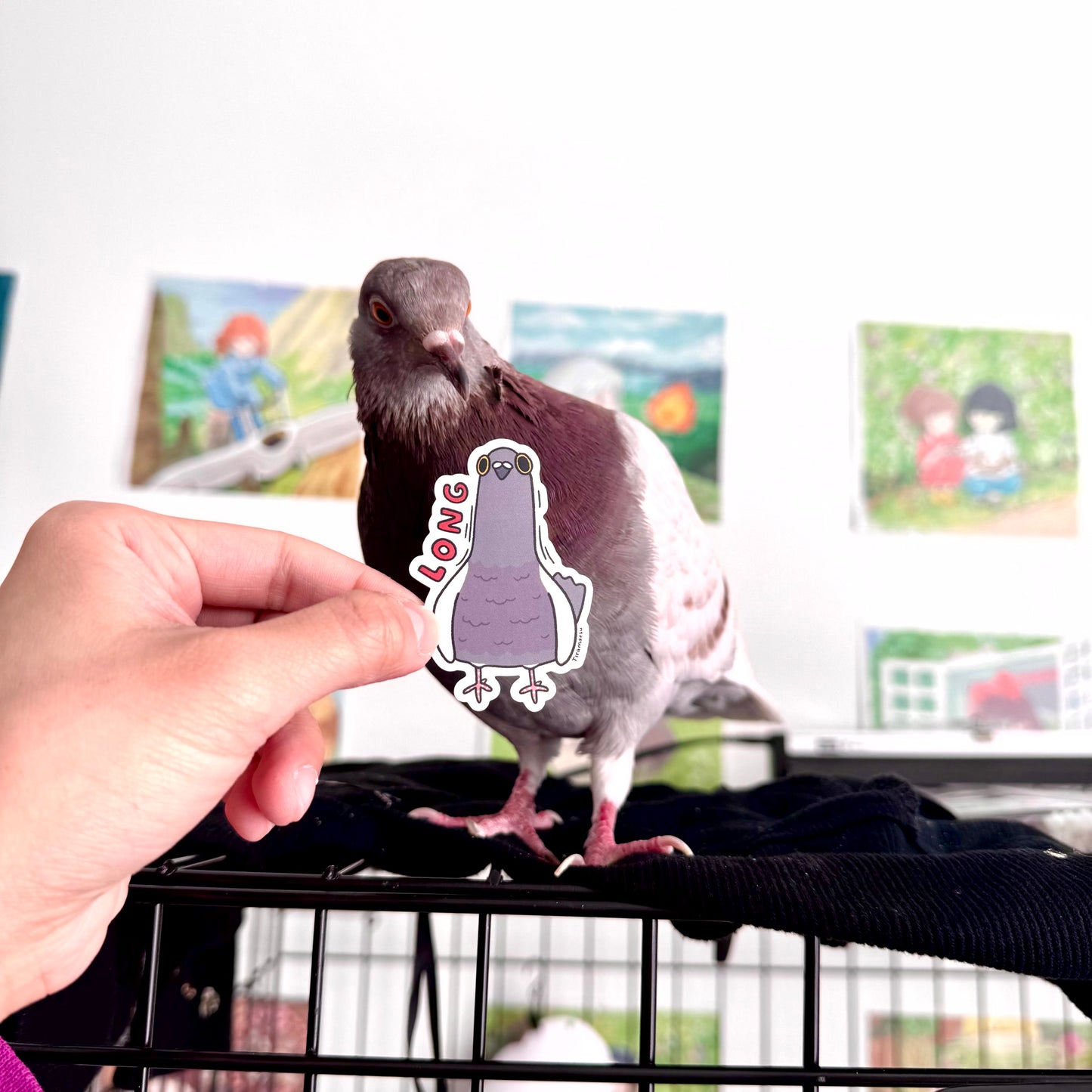 Long Neck Pigeon Sticker