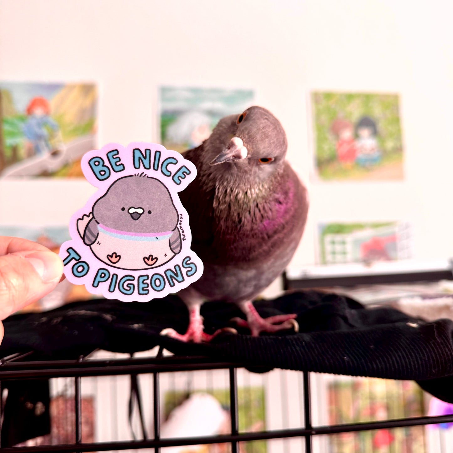 Be Nice to Pigeons Sticker
