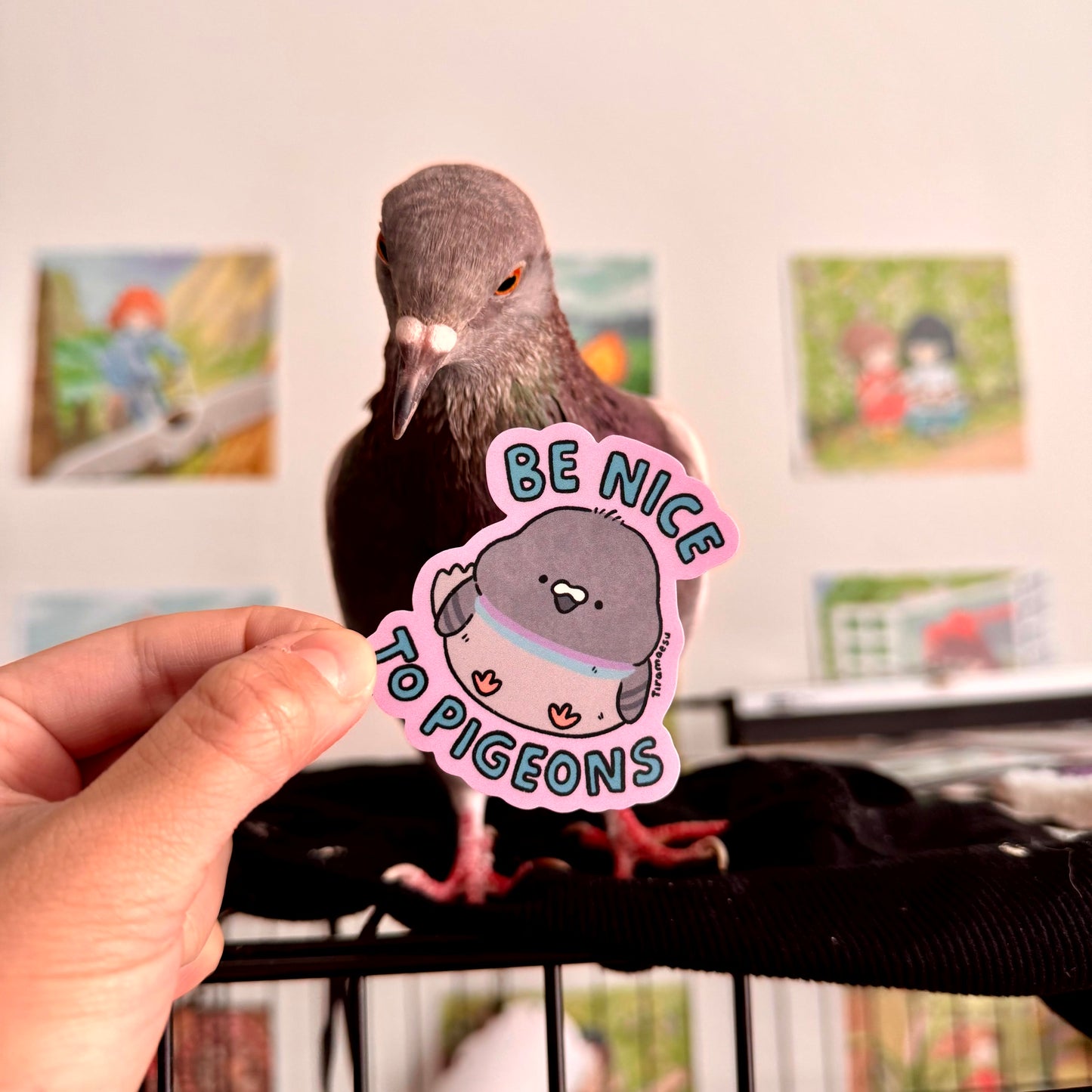 Be Nice to Pigeons Sticker