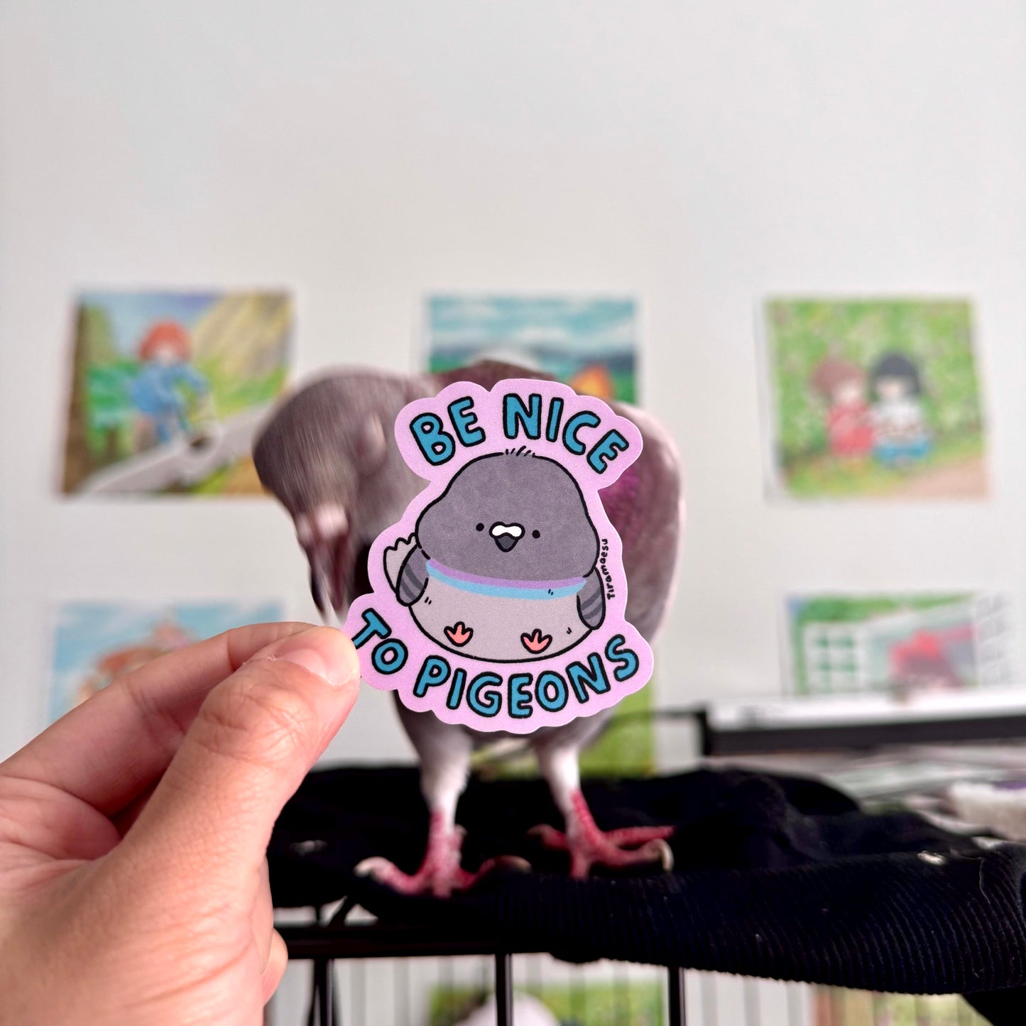 Be Nice to Pigeons Sticker