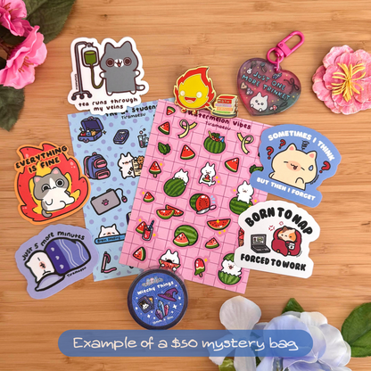 Large Mystery Bags