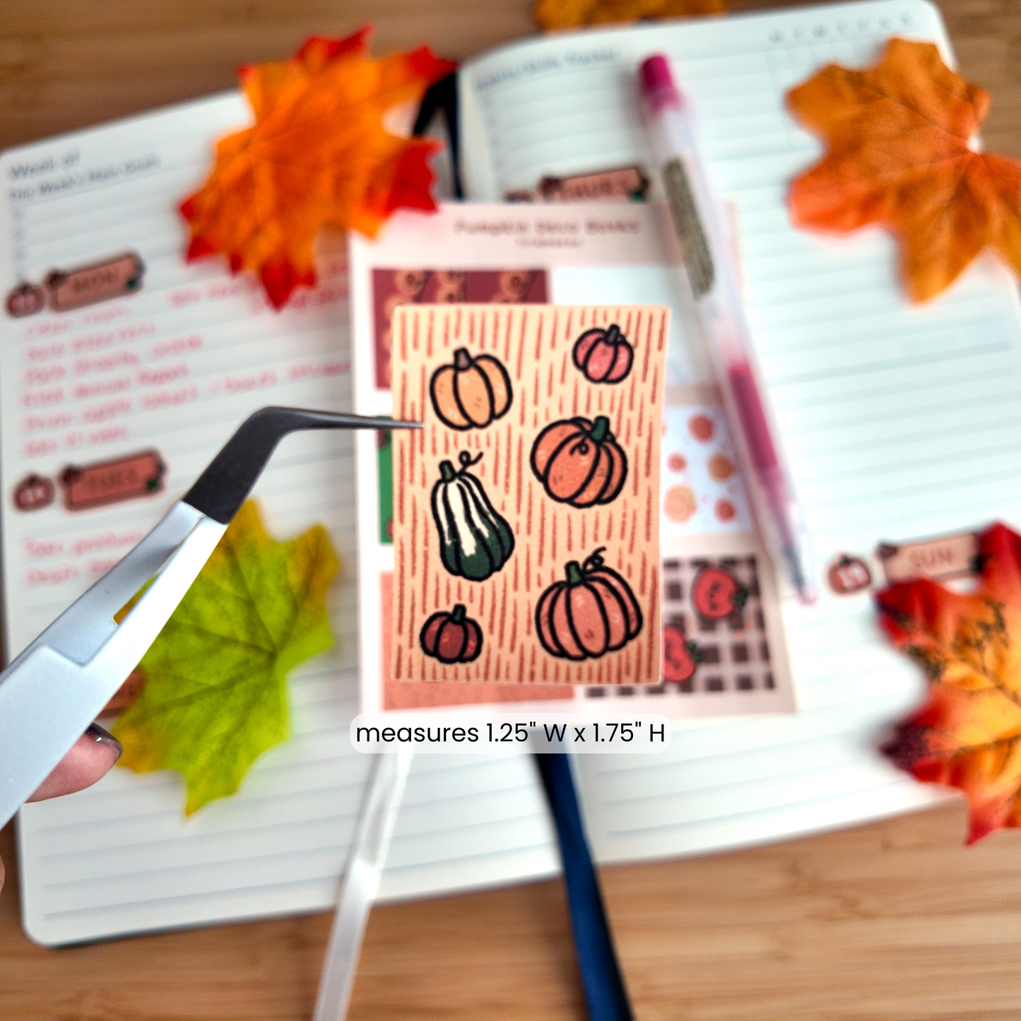 Pumpkin Deco Full Boxes Sticker Sheet